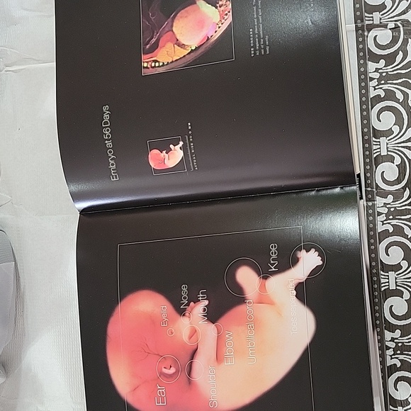 From conception to birth book - Picture 4 of 5